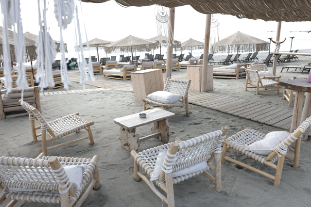 8B8389D5 8CEF 499D 8E80 2DFBE6B78963